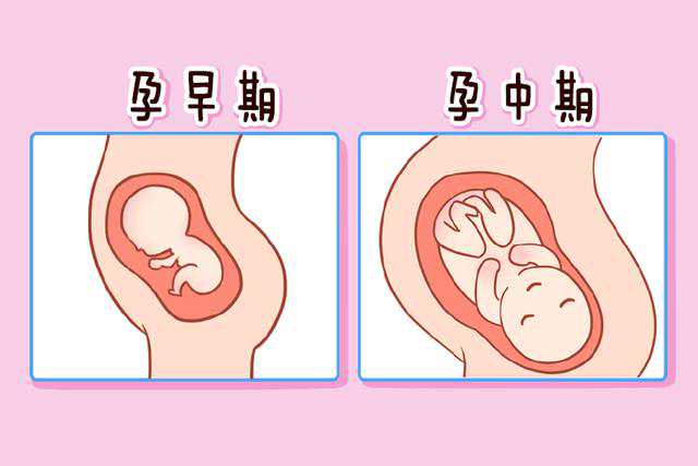 <b>供卵公司当道坤和助孕,上海供卵找坤和助孕</b>