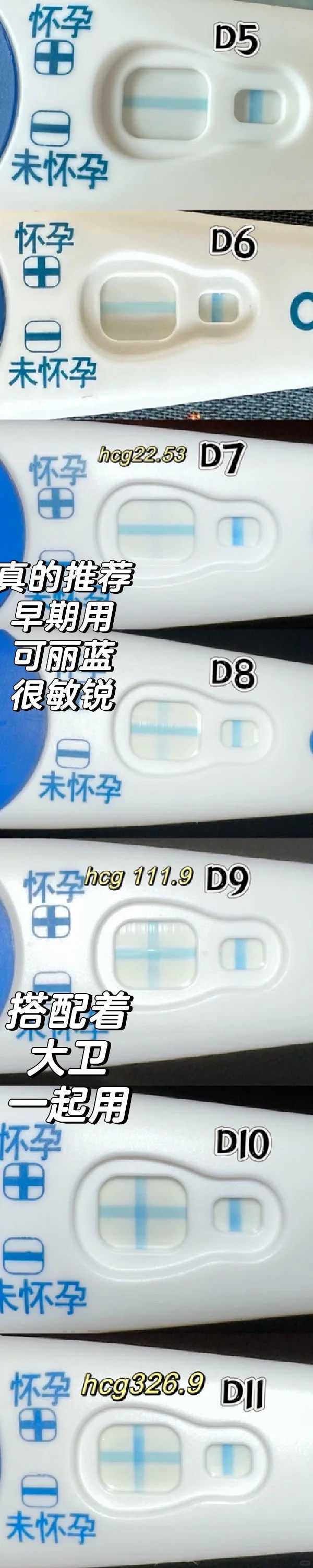 供卵自怀应询坤和助孕,上海供卵咨询坤和助孕全