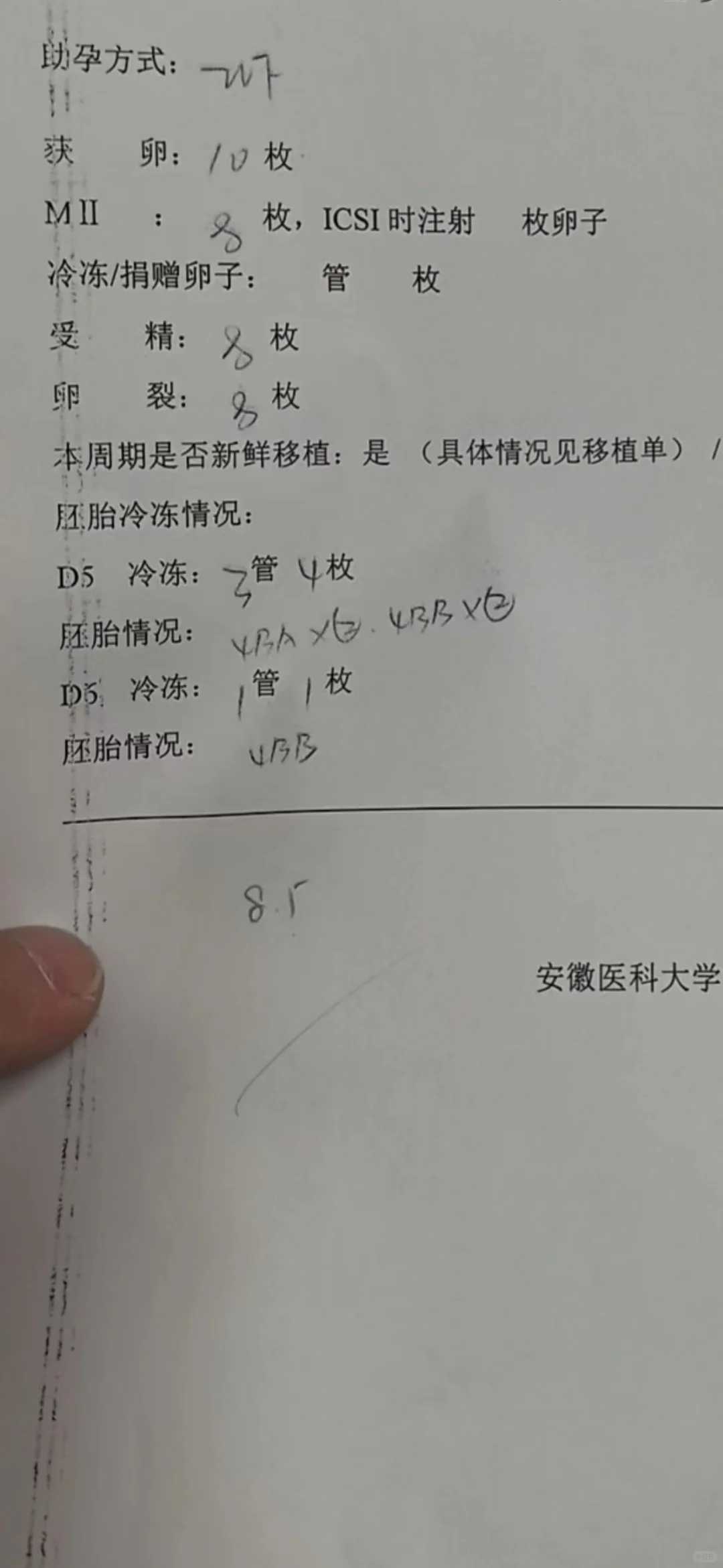 中国正规的助孕机构