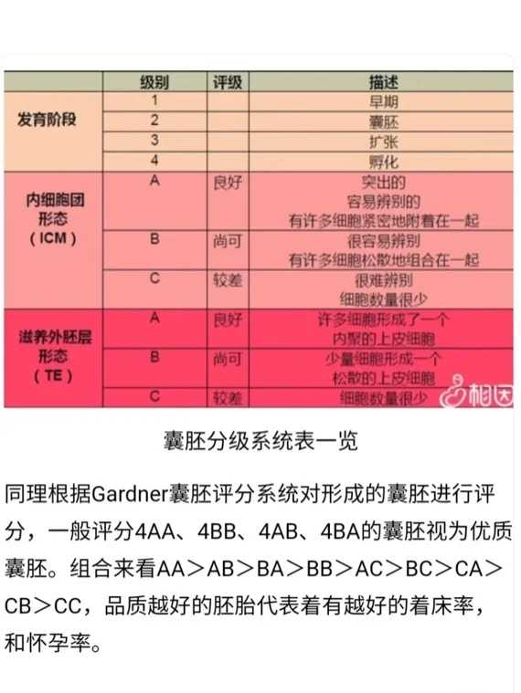 山东供卵等多久!败血症治愈后能做试管怀孕吗？