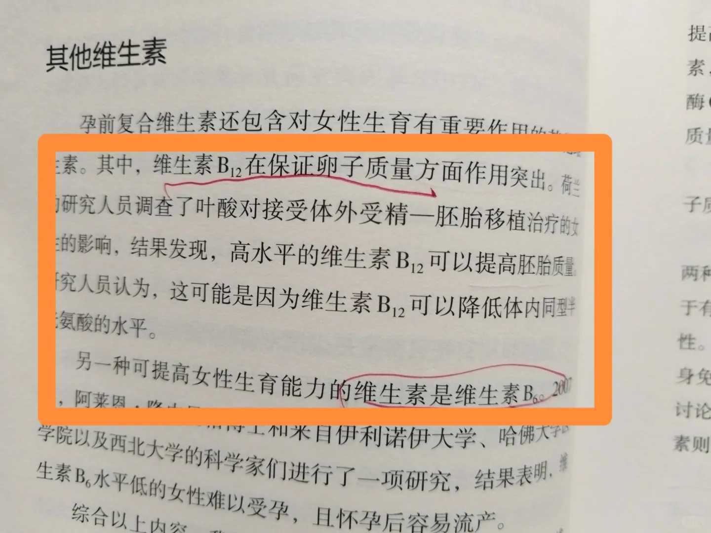 孕育课堂：怀孕四周 胎儿发育与孕妈变化