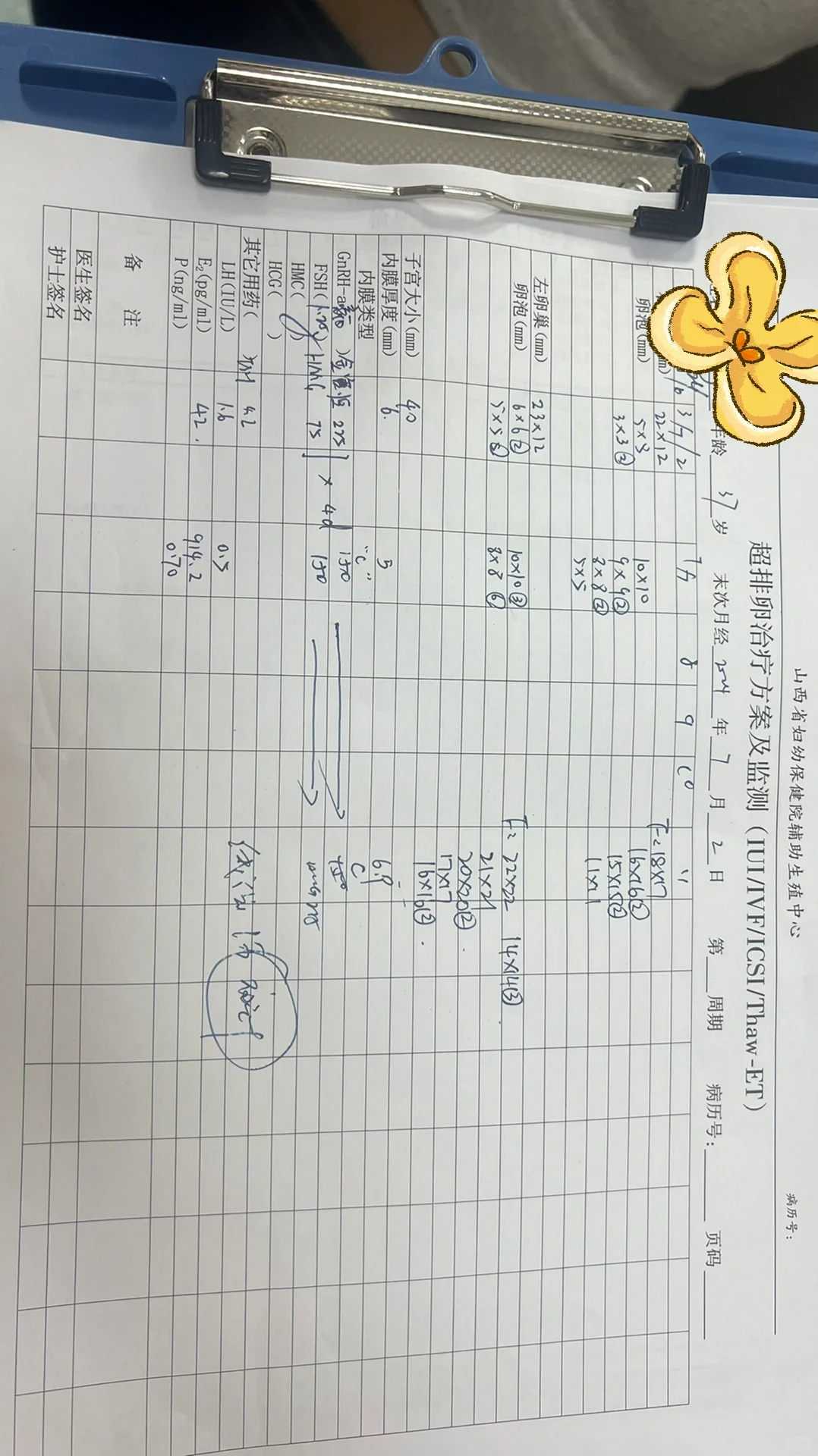 上海试管助孕成功率多少啊？