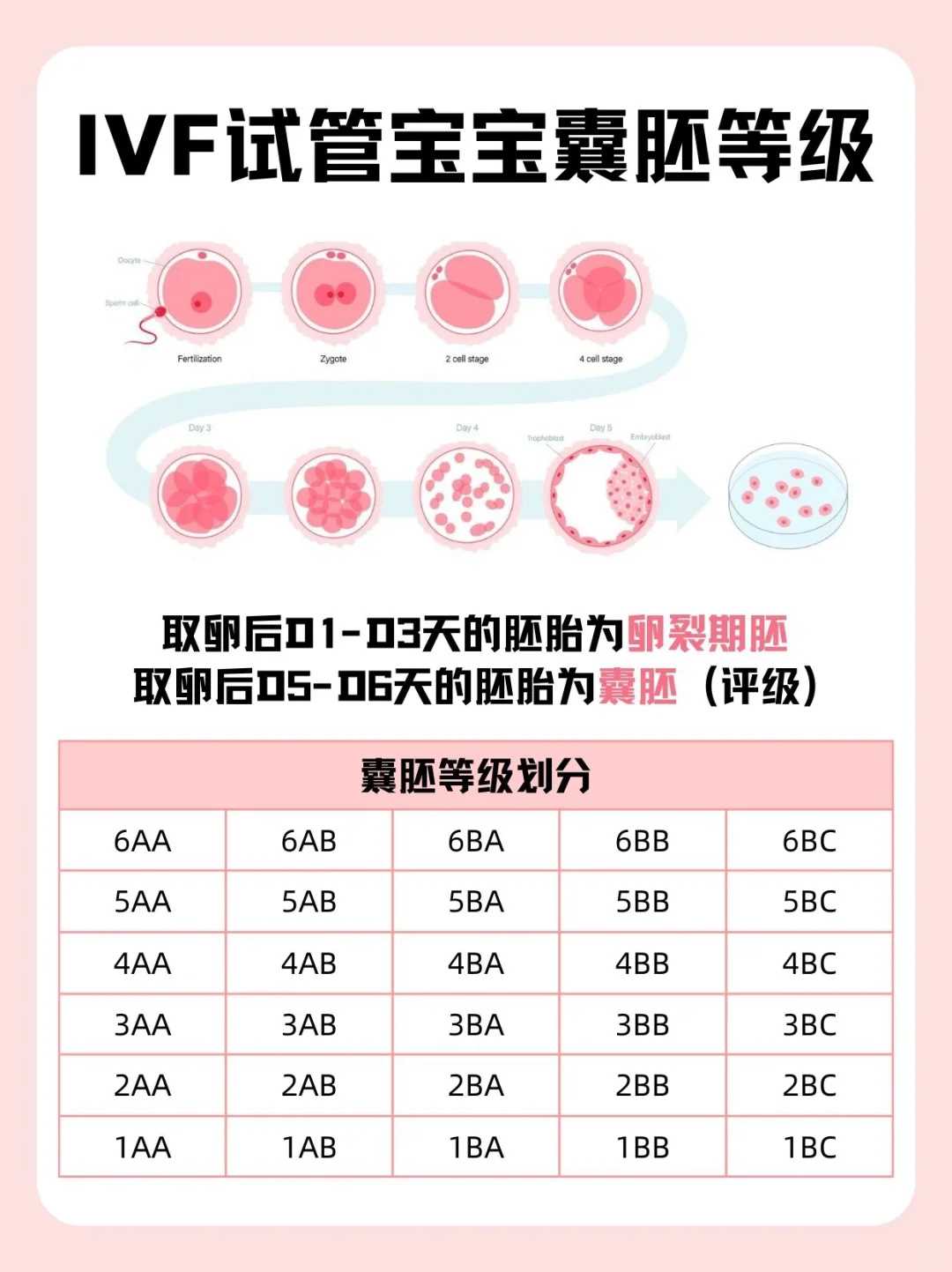 美国染色体异常可以做三代吗_1