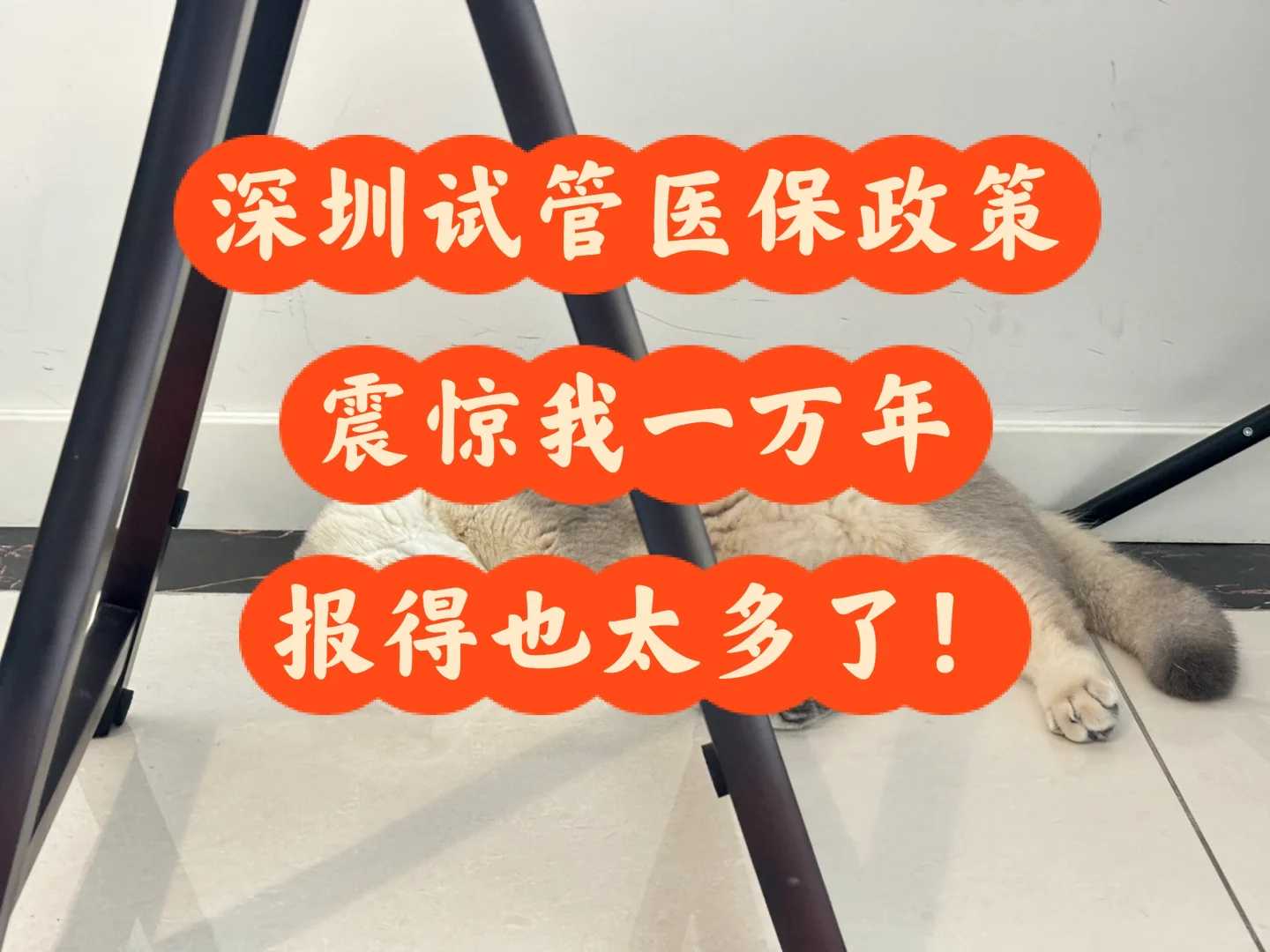 生殖中心代孕,
              普丽康和丽申宝哪个促排效果好？
