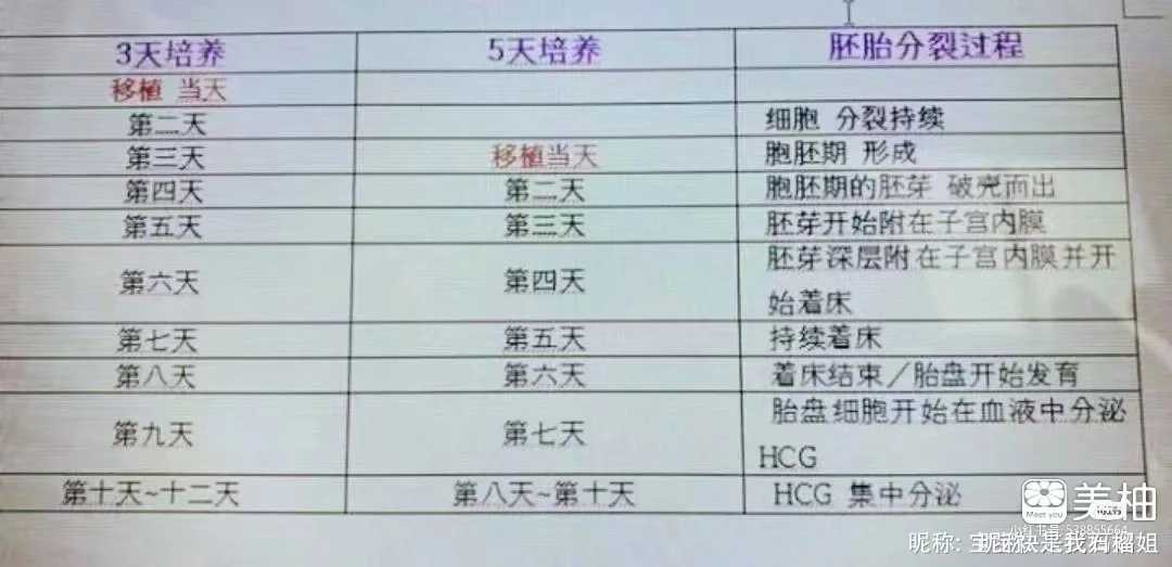 代孕哪家有保障,初期糖尿病可以做试管婴儿