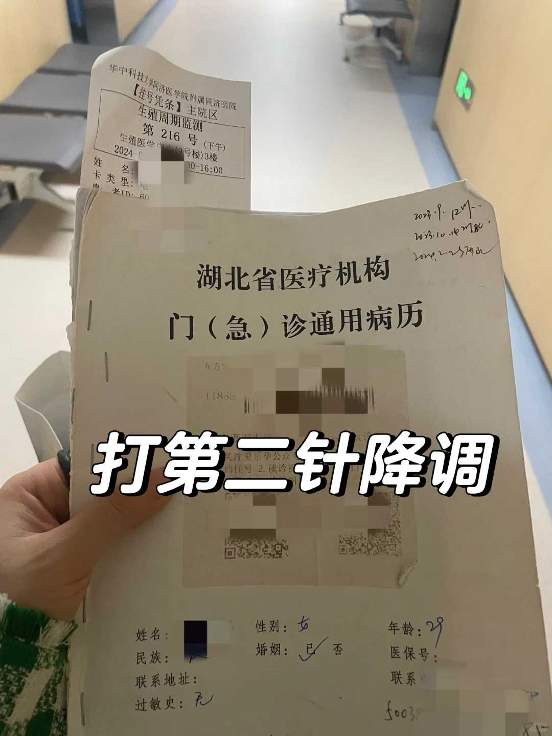 双胞胎代孕网,成都试管婴儿双胞胎多少钱