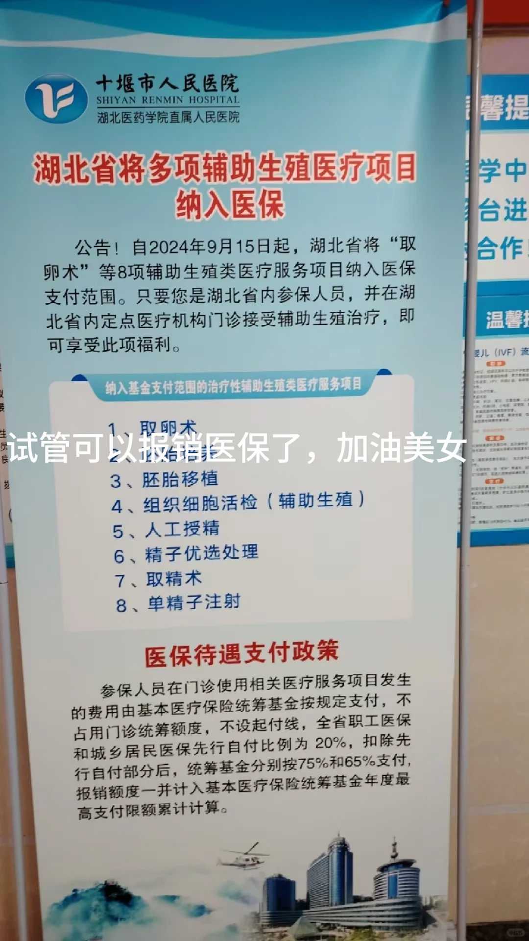 试管代孕双胞大概费用,人工授精后如何计算孕周_人工授精孕期怎么计算