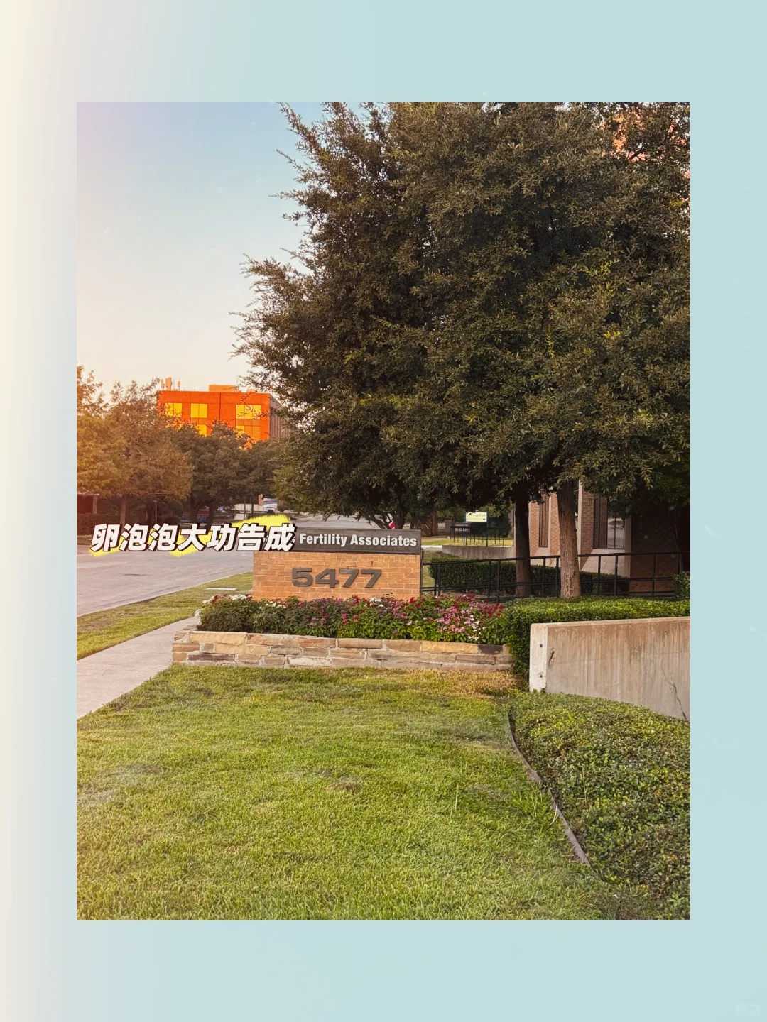 国内哪家助孕公司最好助孕医院排名